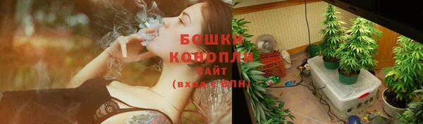 дмт Белокуриха